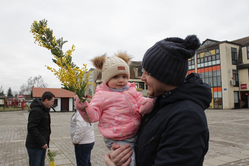 Dan mimoza, Đurđevac (22)