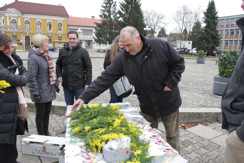 Dan mimoza, Đurđevac (24)