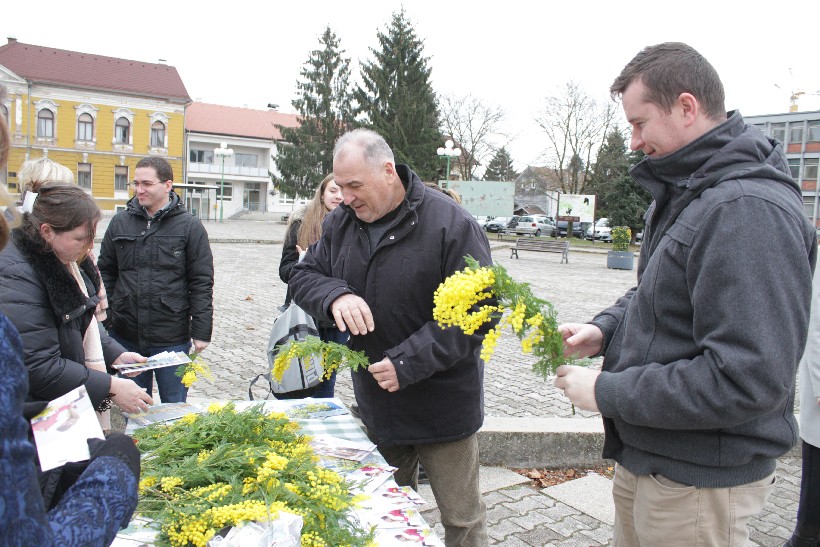 Dan mimoza, Đurđevac (26)