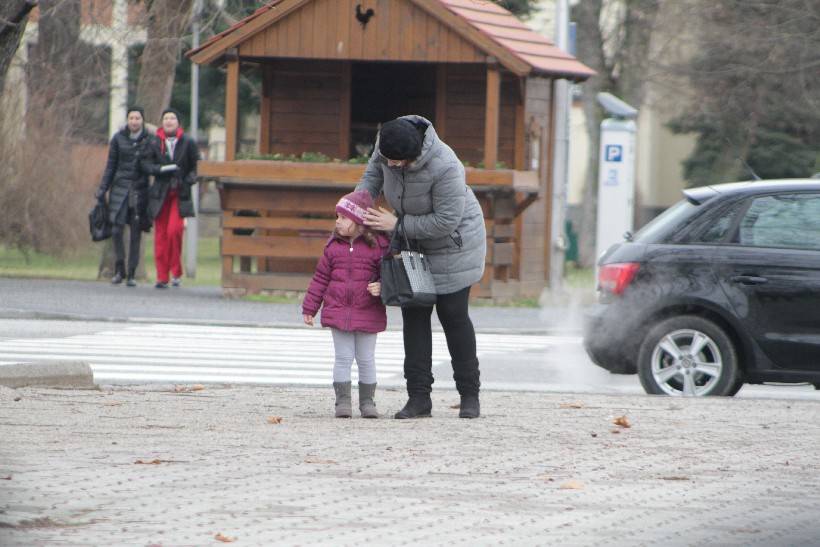 Dan mimoza, Đurđevac (28)