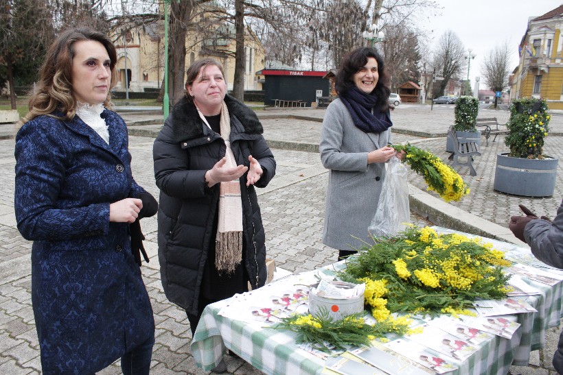 Dan mimoza, Đurđevac (8)