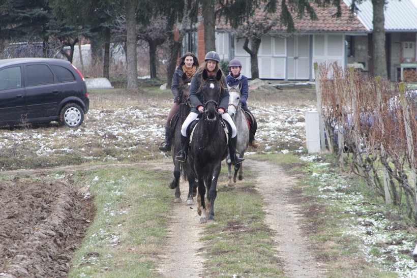 Vincekovo, Đurđeac (10)