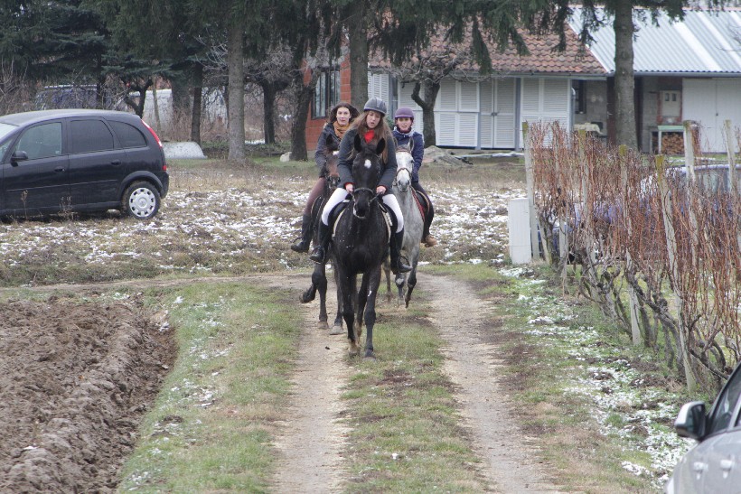 Vincekovo, Đurđeac (9)
