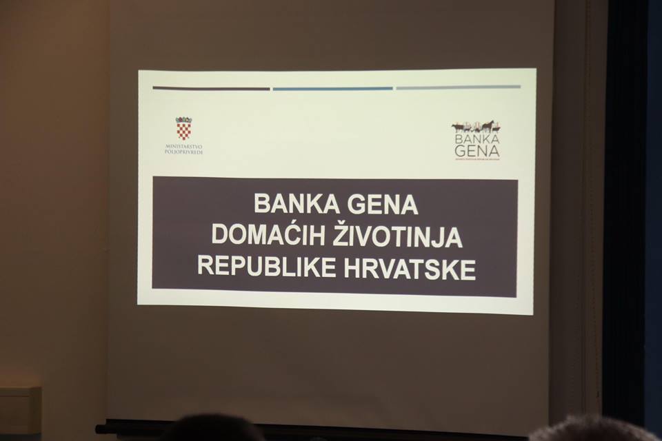 banka gena2