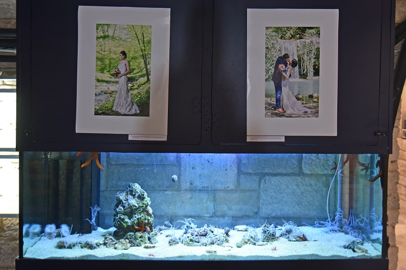 U Aquariumu otvorena izložba vjenčanih fotografija