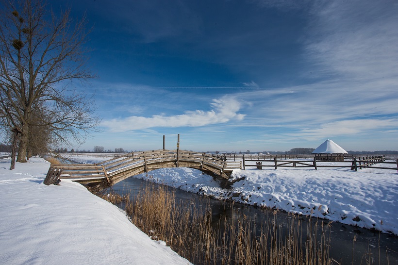 Davor Javorović/PIXSELL