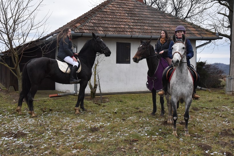 mičetinac čepelovac cesta (3)