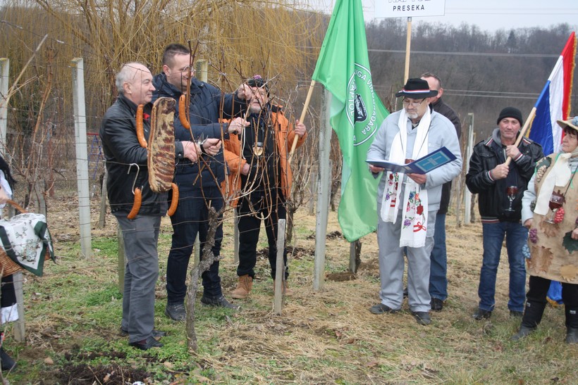vincekovo preseka (3)