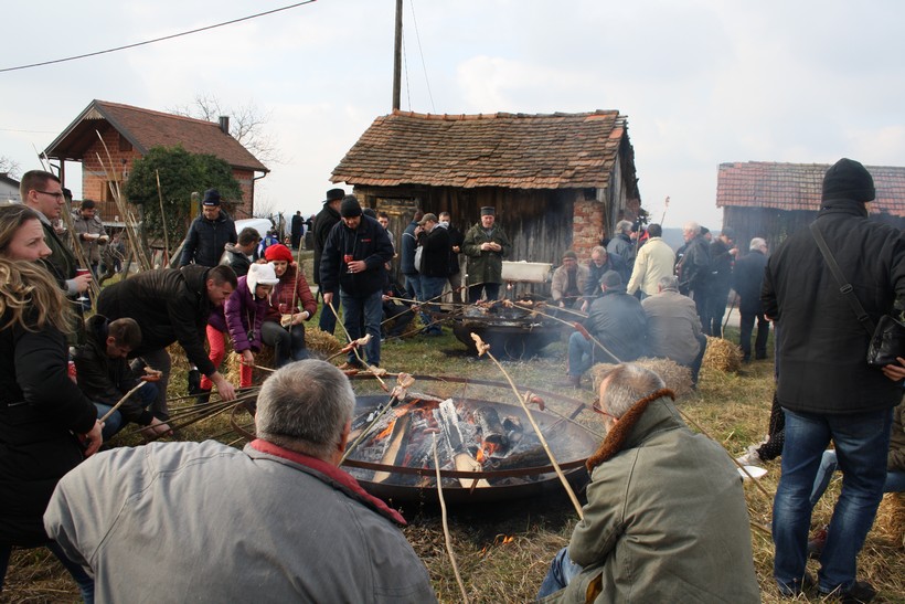 vincekovo vrbovec (5)