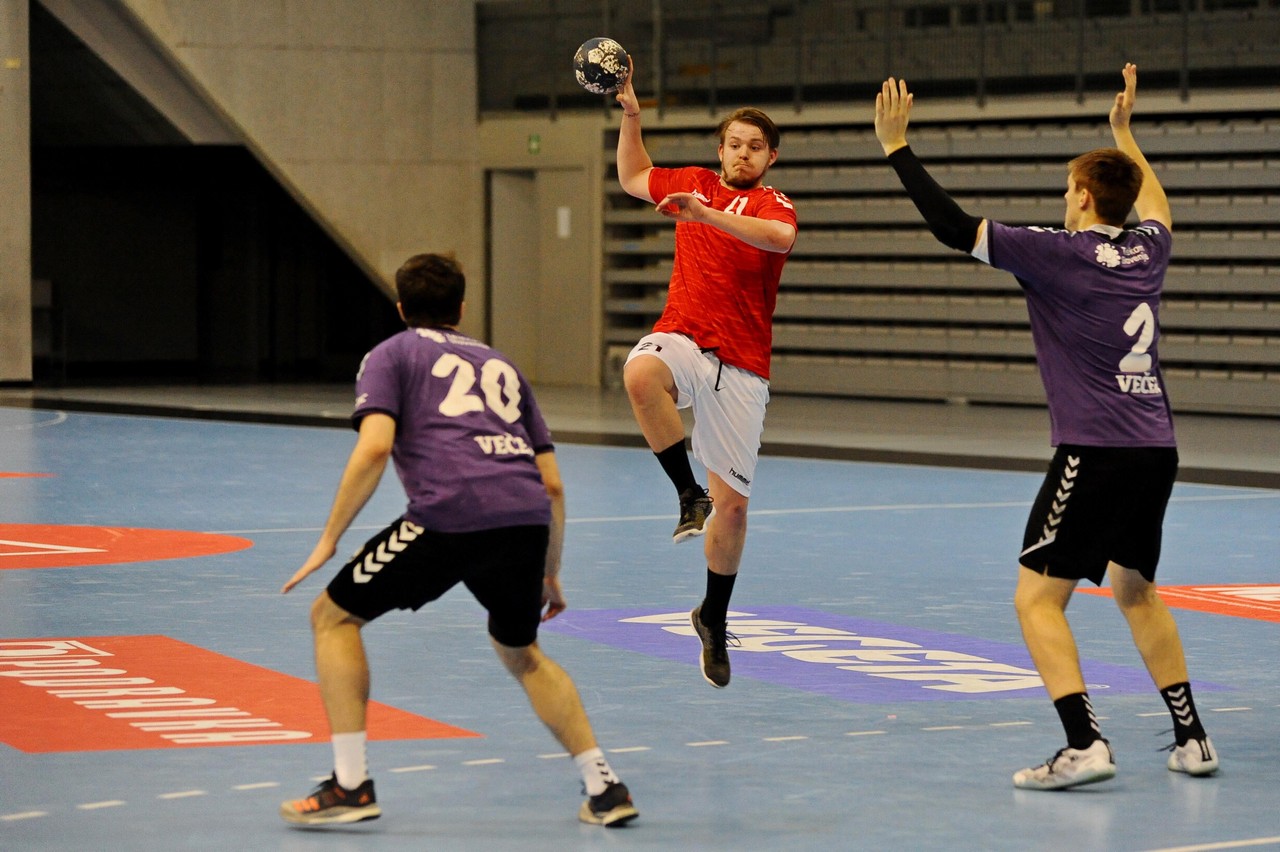 vrba (1)