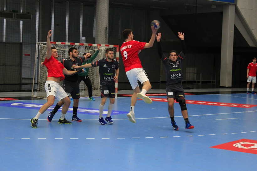 vrba (14)