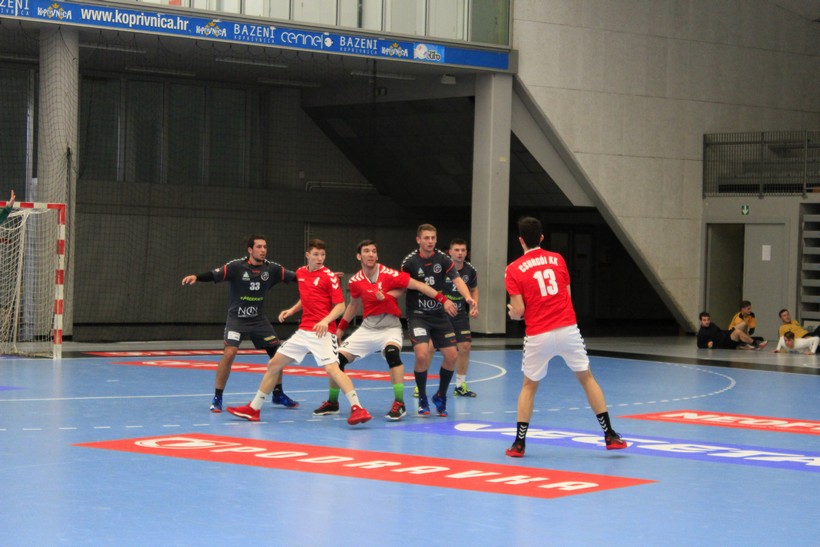 vrba (16)
