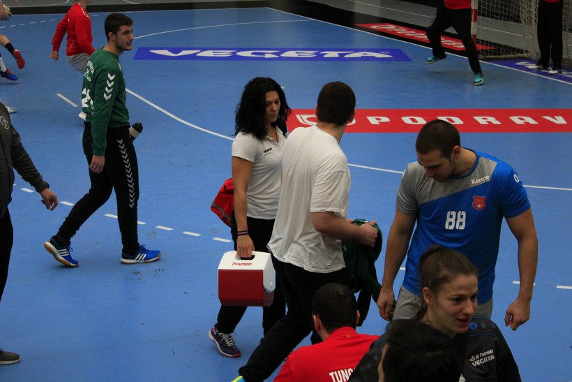 vrba (19)