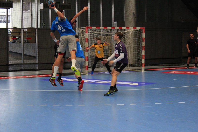 vrba (22)