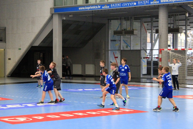 vrba (7)