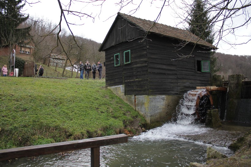 Sveta Ana kolinje (24)