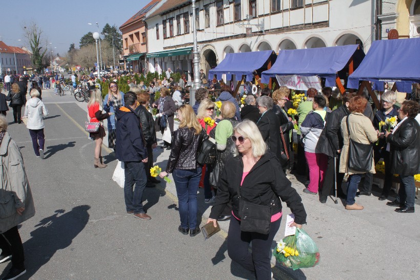 Dan narcisa koprivnica (5)