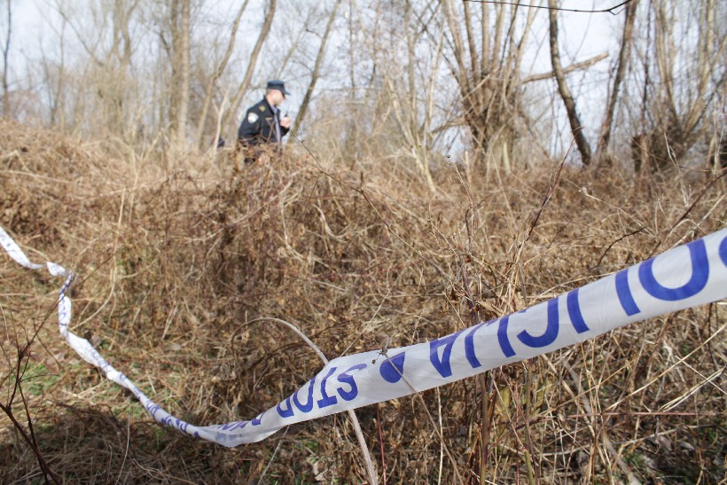 Neko je posjekao i ukrao 43 stabla hrasta, graba i bukve, policija traga za počiniteljem