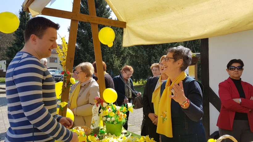 Dan narcisa đurđevac (10)