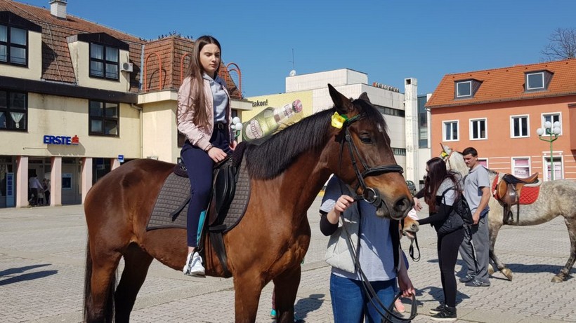 Dan narcisa đurđevac (16)