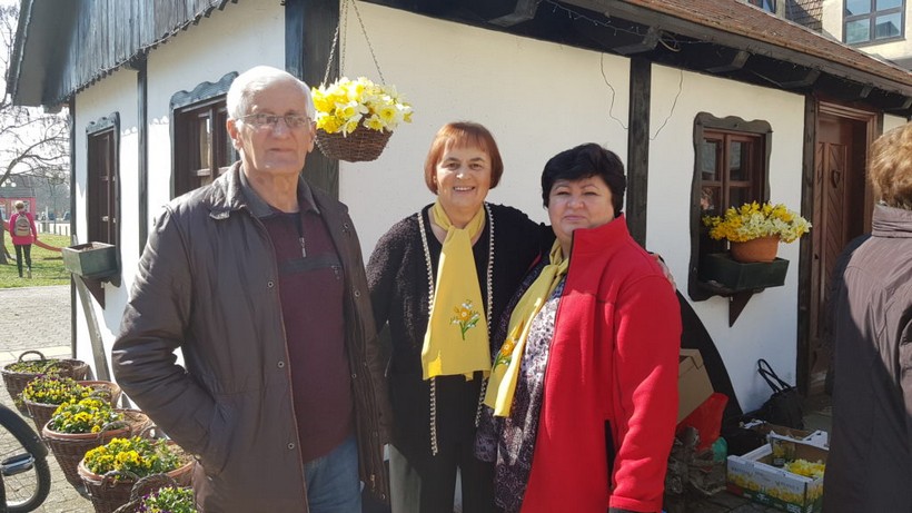 Dan narcisa đurđevac (17)