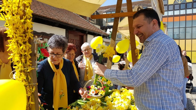 Dan narcisa đurđevac (19)