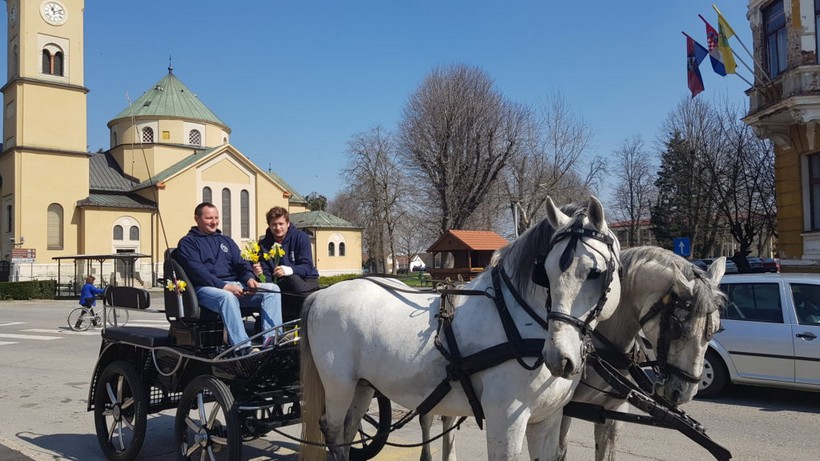 Dan narcisa đurđevac (21)