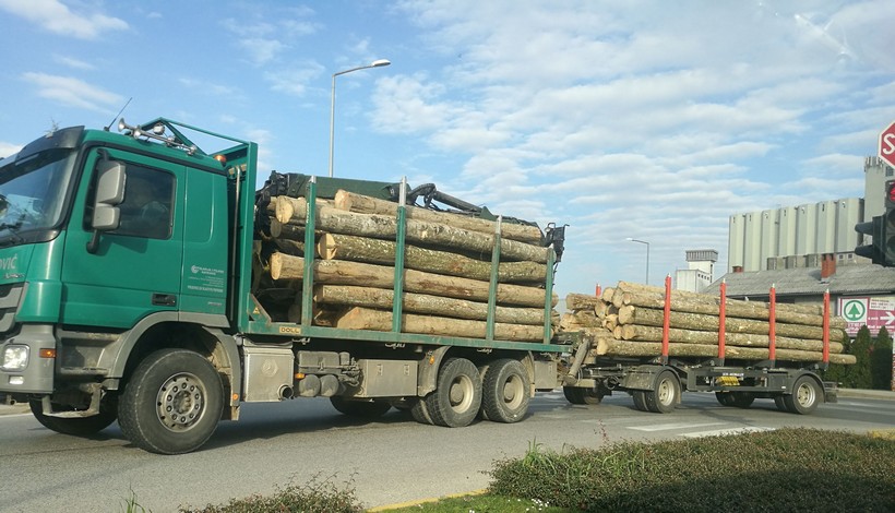 Kamion Drva
