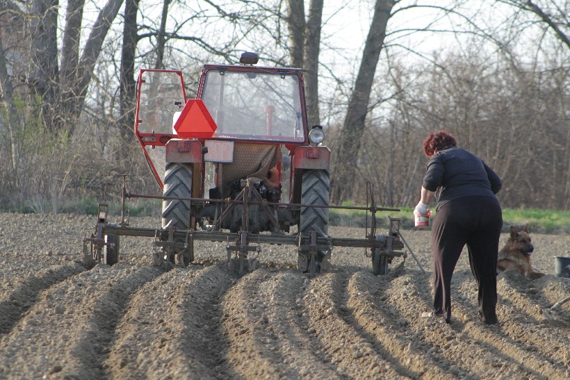 ilustracija traktor, radovi u polju, radovi na zemlji, sadnja, oranica, poljoprivrednik, poljoprivreda (2)