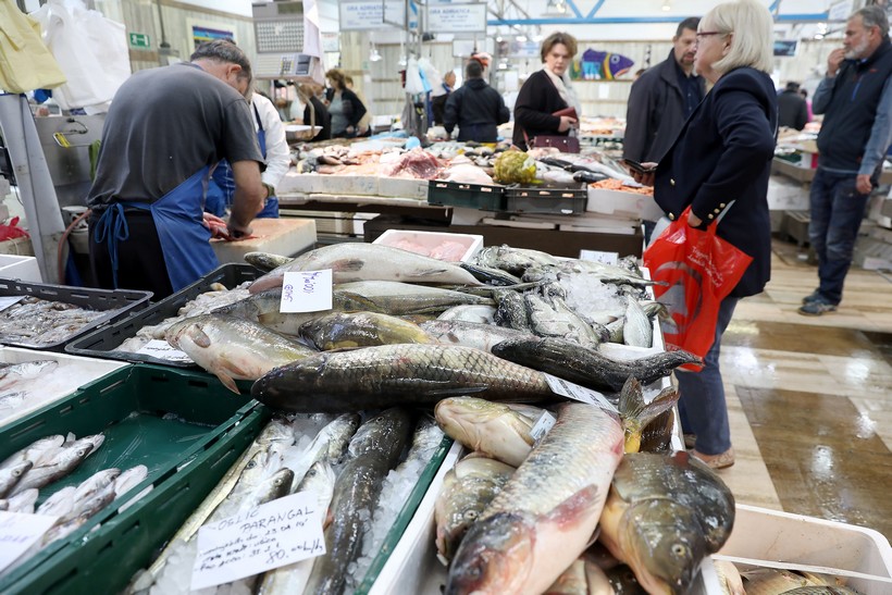 Prijatelji životinja pozivaju na prekid ribolova: ‘Ribe su osjetljiva i inteligentna bića s vlastitom svrhom života’