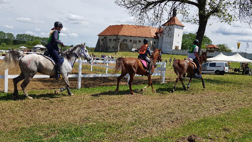 Đurđevac konji utrka (16)