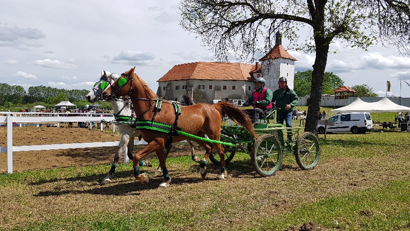 Đurđevac konji utrka (3)