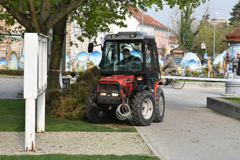 šimšir kc (3)