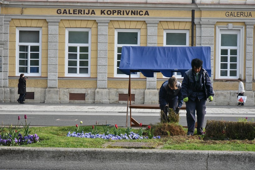 šimšir kc (8)