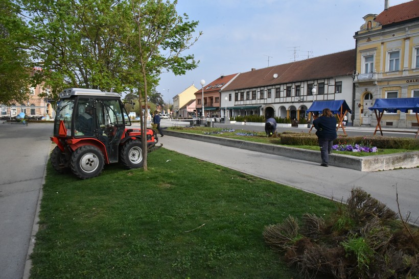 šimšir kc (9)