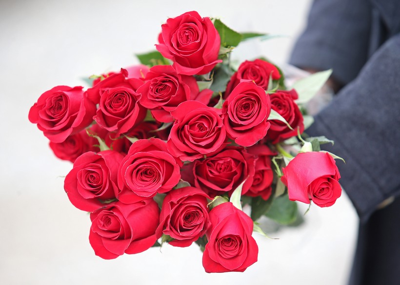 12 crvenih ruža