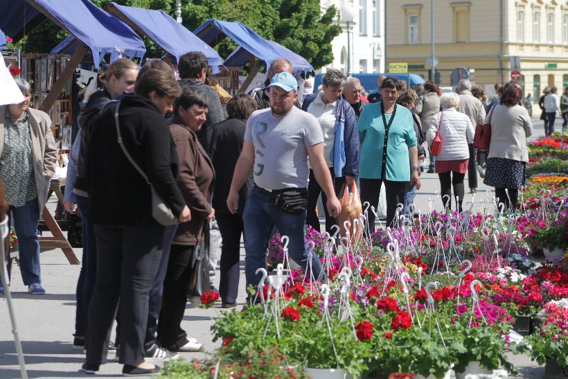 Sajam Cvijeća I Puhački Orkestar, Koprivnica (21)