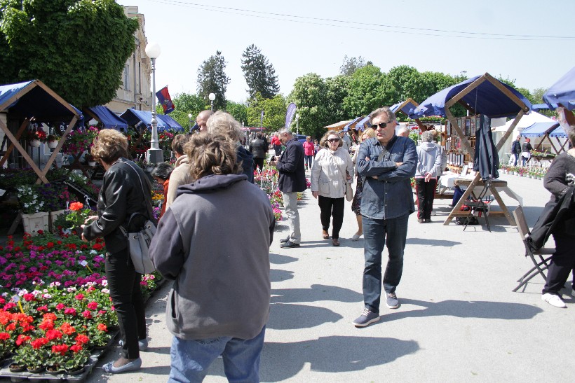 Sajam Cvijeća I Puhački Orkestar, Koprivnica (22)