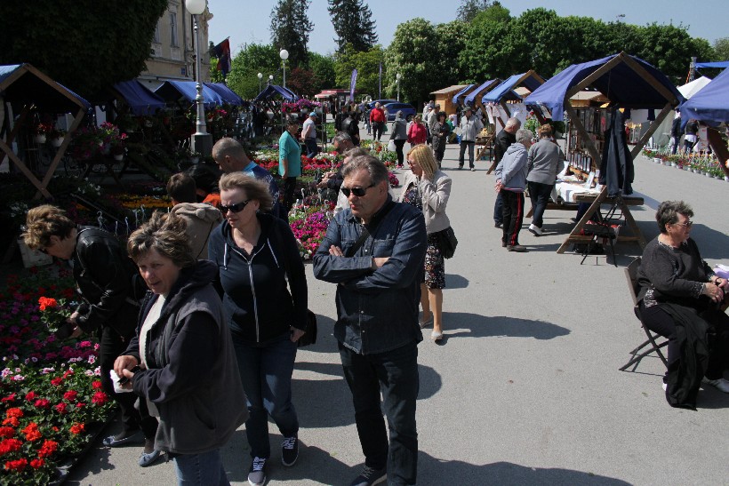 Sajam Cvijeća I Puhački Orkestar, Koprivnica (23)