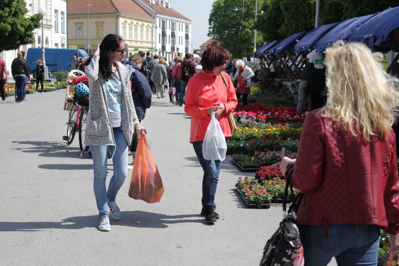 Sajam Cvijeća I Puhački Orkestar, Koprivnica (24)