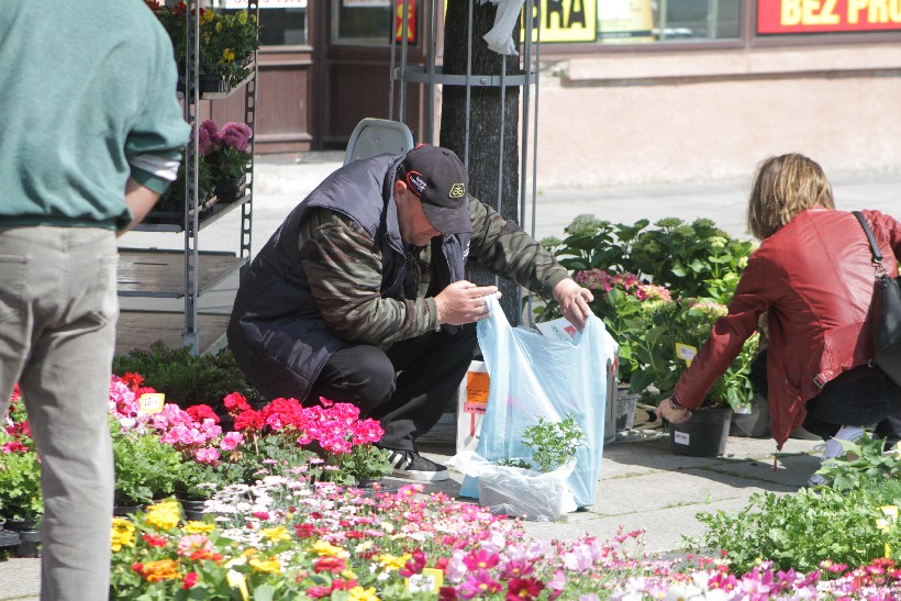 Sajam Cvijeća I Puhački Orkestar, Koprivnica (26)
