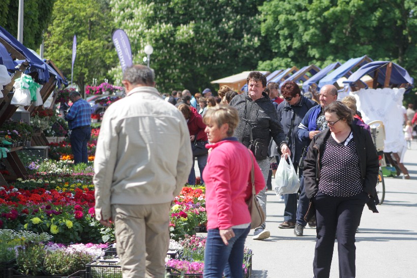 Sajam Cvijeća I Puhački Orkestar, Koprivnica (27)