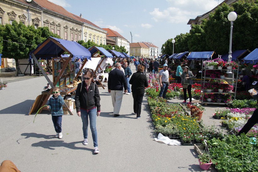 Sajam Cvijeća I Puhački Orkestar, Koprivnica (3)
