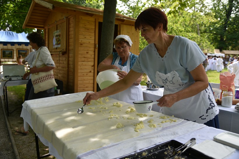 Podravski Motivi (47)