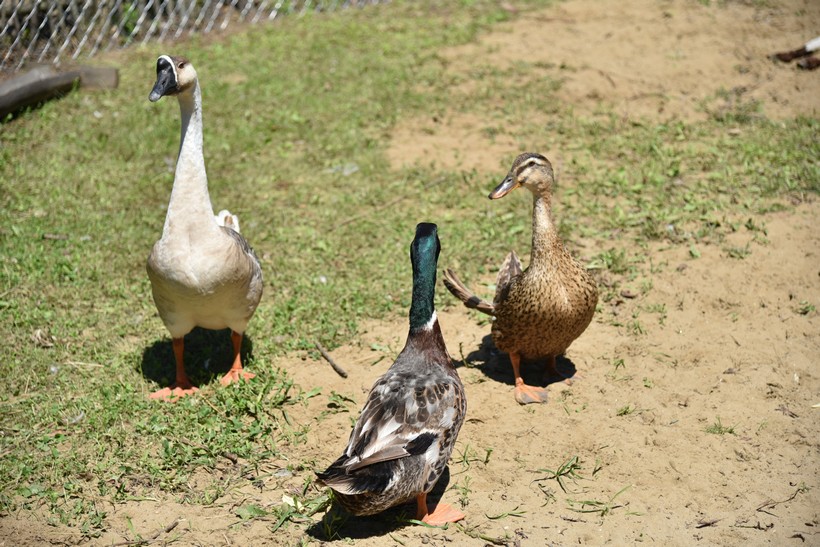 Posjet Grupe Magazin Hrvatskoj Sahari (14)