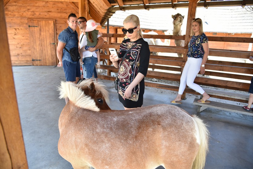 Posjet Grupe Magazin Hrvatskoj Sahari (21)