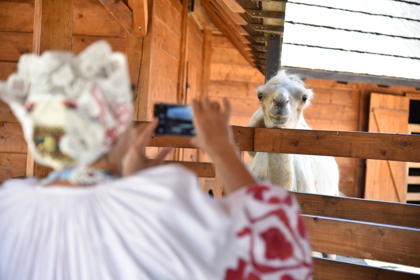 Posjet Grupe Magazin Hrvatskoj Sahari (26)