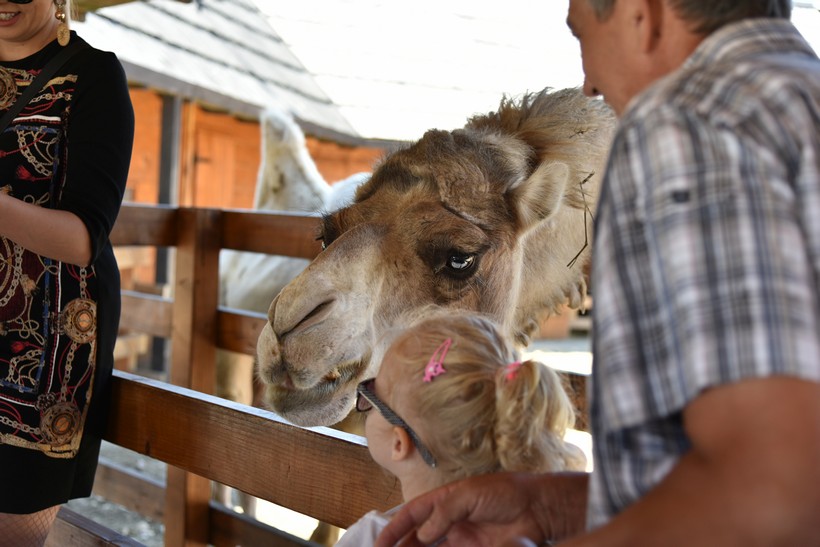 Posjet Grupe Magazin Hrvatskoj Sahari (33)