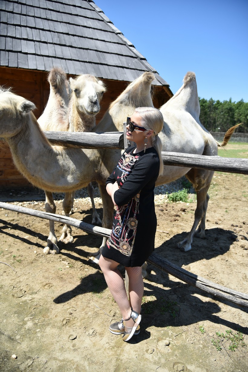 Posjet Grupe Magazin Hrvatskoj Sahari (41)