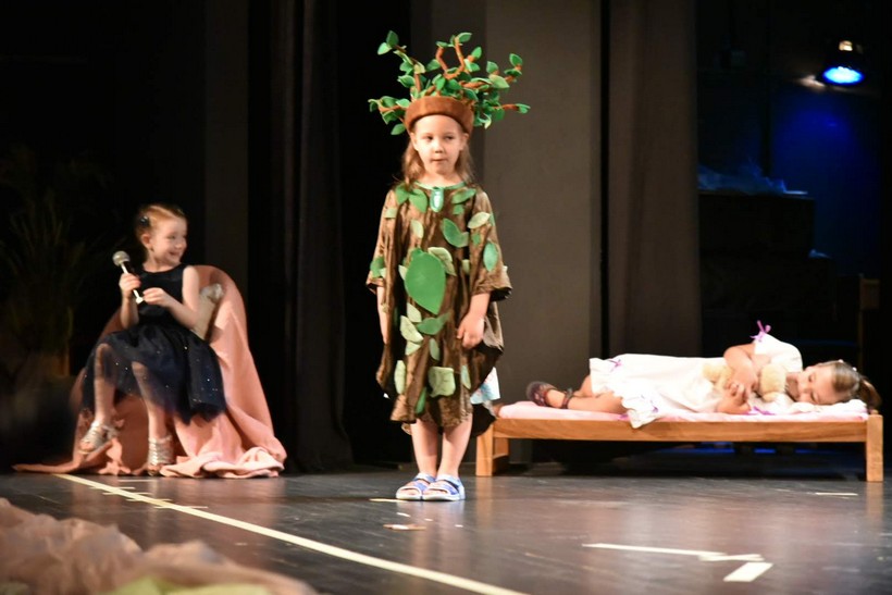 Dv Smiješak Kc (21)